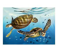 DIADAY Diamond Painting Kits for Adults Sea Turtle, 5D Animal Turtle Diamond Art Kits, Round Full Drill Animal Diamond Dot DIY Crafts Home Wall Decor Gift 40x30cm (16x12 Inch)