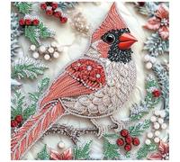 DIADAY DIY Bird Diamond Painting Kit, Cardinal Partial Drill Specail Shape Diamond Art Kits for Adults, Animal Crystal Rhinestones Diamond Art, 5D Arts and Crafts Home Wall Decor Gift 12 x 12 Inches