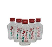 DIAH DO IT AT HOME 10 x 100ml Christmas Glass Hip Flask Bottles with Red Screw Caps - 'Merry Christmas' Screen Printed Empty Bottles for DIY Homemade Liqueur Gifts & Stocking Fillers (Set of 10)