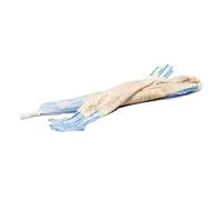 DIAH DO IT AT HOME 20m Natural Sheep Casings 22/24 on Stripes - Extra Long Easy-Fill Lamb Intestines for DIY Kabanos & Frankfurters - Professional Quality for Thin Homemade Sausages