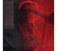 DIAHNNE ABBOTT,CARMEN LUNDY,LUCY GABRIELLE PENABAZ,FERNANDO SAUNDERS,KIP HANRAHAN,ROBBIE AMEEN,ANDY GONZALEZ,GIOVANNI HIDALGO,LEO NOCENTELL,DON PULLEN - Tenderness (12" Vinyl LP)(1990)(Amerivan Clave 10161 TS)