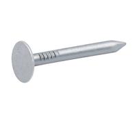 Diall Galvanised Clout Nail (L)30mm (Dia)3mm 2Kg