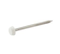 Diall Upvc Nail (L)50mm (Dia)2.65mm 125G