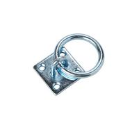 Diall Zinc-Plated Galvanised Steel Ring On Plate