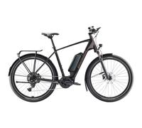 Diamant Zing Trip Core Step Over 545Wh Electric Hybrid Bike in Samtschwarz XL