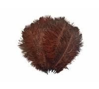Diamante Crafts Ostrich Feathers - Extra Large 60cm -75cm / 24" - 30" Pick Quantity / 19 Colours (Dark Brown, 1 x Ostrich Feather XL)