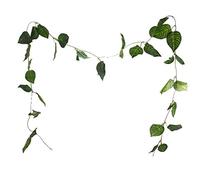 Diamante Crafts Watermelon- 8 ft Artificial Green Leaf Trailing Garland - (9-482)