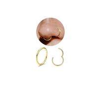 Diamday G23 Titanium Nose Rings Hoops 20G 18G 16G Seamless Hinged Nose Piercing Jewelry Hypoallergenic Click Septum Helix Rings Lip Cartilage Daith Conch Tragus Rook Belly Button Gold/Silver 8mm-10mm9