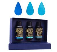 Diamine Colletion Ink Bottles 30ml Plastic Bottles in a Gift Box - Gift for Colleagues, Family & Friends & Stationery Lovers! - Choose Set! (Winter Collection)