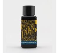 Diamine Fountain Pen Ink 30ml - Aurora Borealis