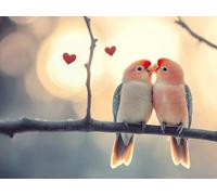 Diamond Art Bird Diamond Painting Kits for Adults, 5D DIY Love Full Drill Cross Stitch Sequin Gem Art Paintings, Painting by Numbers Arts and Crafts Pictures for Home Wall Decor 36x54 inch W-9822