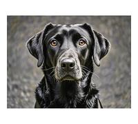 Diamond Art Black Labrador Retriever 5D Diamond Painting DIY Kits Full Round Drill Rhinestones Crystal by Number Mosaic Arts and Crafts for Living Room Bedroom Home Wall Decor 12x16 inch