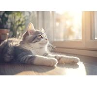 Diamond Art Cat Diamond Painting Kits for Adults, 5D Animal Crystal Art Crafts for Adults Gem Paintings, DIY Full Drill Cross Stitch Pictures Embroidery Kit for Home Wall Decor Gifts 30x45cm X-261