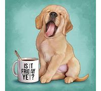 Diamond Art Club is It Friday Yet?