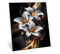 Diamond Art Dream Diamond Painting Kit, 5D Lily Dimond Art Kits, DIY Full Drill 50x40 cm Gem Arts and Crafts for Adults, Craft Supplies for Kids Embroidery Kit, Perfect Home Decor Gifts 20x16in H-8364