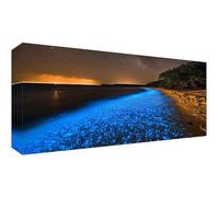 Diamond Art Dream Diamond Painting Kits for Adults, DIY Full Drill Beach Dimond Painting for Kids, 5D Embroidery Cross Stitch Rhinestone Crystal Gem Art Pictures, Home Wall Decor 32x16inch t-8444