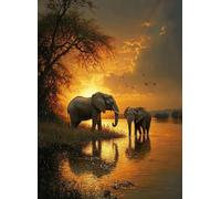 Diamond Art Elephant Diamond Painting Kits for Adults, 5D Africa Round Full Drill Cross Stitch Sequin Gem Art Paintings, Painting by Numbers Arts and Crafts for Adults, Home Decor Gifts 16x20in c-676