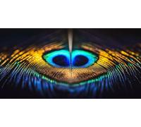 Diamond Art Feather， Color Diamond Painting Kit Adults， DIY Full Drill Crystal Art Mosaic Craft Set， 5D Gem Cross Embroidery Art Accessory Adult Beginners， Home Wall Decoration 40x20cm T-z956