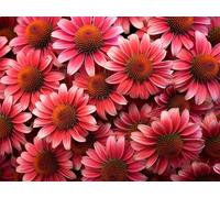 Diamond Art Flowers Diamond Painting Pink Crystal Art Kits for Adults, DIY 5D Full Drill Cross Stitch Arts Crafts Pictures, Embroidery Kit for Kids, Home Wall Decor, Gifts for Women 90x120cm G-273