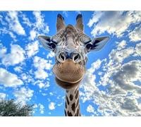 Diamond Art Giraffe, Sky Diamond Painting Kits for Beginner, 5D DIY Full Round Dimond Art Kits for Adults, Crystal Arts Crafts Pictures Cross Embroidery Kit for Home Room Wall Decor 40x52inch,Model737