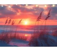 Diamond Art Grass Diamond Painting Sunset Crystal Art Kits for Adults, 5D Round Drill Dimond Painting Kits for Adults Beginner, Mosaic Making Gem Arts for Home Decor, Gifts for Women 35x45cm K9-1384