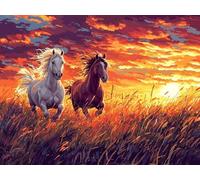 Diamond Art Grassland, Horse Diamond Painting Kits Adults Beginners, Full Drill Crystal Art Embroidery Mosaic Kit, Hobbies for Adults Women, Gifts for Halloween Christmas, Home Wall Decor 60x80cm Q-19