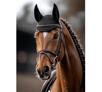 Diamond Art Horse 5D Diamond Painting Kit Animal DIY Round Full Drill Dimond Art for Adults Kids Paint by Numbers, Rhinestone Embroidery Canvas Painting Crafts for Home Room Decor Gifts 10x15cm L-602