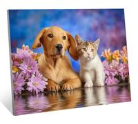 Diamond Art Kits Adults, 5D Diamond Painting Cat Crystal Arts and Crafts for Adults, DIY Cross Stitch Embroidery Gem Art Paintings, Golden Retriever Painting by Numbers, Home Decor 30x40 cm H-4973