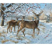 Diamond Art Kits Adults 5D Snowdrop Deer Full Drill Diamond Painting Accessories, Diamonds Personalised Crystal Creations 8x12in DIY Gem Art Craft Painting By Numbers for Home Decor 20x30cm I-11849