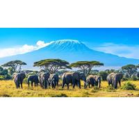 Diamond Art Kits Adults Africa 5D Large Diamond Painting Elephant 30x60 cm Full Drill Round Crystal Picture Crafts, with Dimond Art Tools DIY Cross Stitch Embroidery Painting for Home Wall Decor C-738