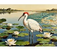 Diamond Art Kits Adults Bird Diamond Painting 47x35 Inch T-8A869