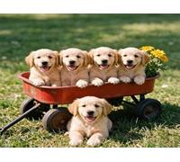 Diamond Art Kits Adults Dog Diamond Painting 43x32 Inch 5-1853D