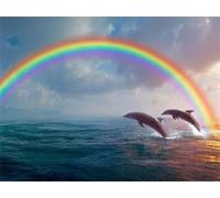 Diamond Art Kits Adults, Dolphin Rainbow 5D Diamond Painting Kits for Kids Beginners, DIY Round Full Drill Gem Crystal Art Cross Stitch Crafts Pictures Kit, for Home Wall Decor Gifts 80x110cm G-237