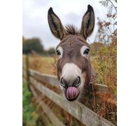 Diamond Art Kits Adults Donkey, Diamond Painting Animal 5D Crystal Art Craft Painting, DIY Full Round Drill Strass Embroidery Kit for Adults Sequin Crafts for Home Wall Decor, Gifts 60x90cm E-BQ83