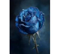 Diamond Art Kits Adults Kids Purple; 5D Diamond Painting Accessories DIY Rose Diamonds Crystal Creations Gem Sequin Art Canvas for Bedroom Living Room Wall and Entrance Decoration Gifts 80x100cm jz555