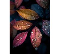 Diamond Art Kits Adults Leaf Diamond Painting Water Droplets 5D Gem Art Square Full Drill Cross Stitch Kits Complete Set of Tools Adult Crafts Paintings for Wall Decor Gifts for Women 40x54in S-780