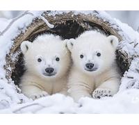 Diamond Art Kits Adults Polar Bear Diamond Painting 32x20 Inch 3-N2843