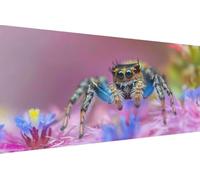 Diamond Art Kits Adults Spider, Diamond Painting Kit Flower 5D Crystal Art Crafts for Adults for Paintings, DIY Full Round Drill Strass Embroidery for Beginner for Home Wall Decor 70x140cm D-V531