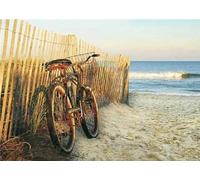 Diamond Art Kits for Adults Accessories,5D Bicycle Reeds Dimond Picture Beginner Diamond Painting Kits DIY Full Drill Paint By Numbers Crystal Gem Art,for Christmas Home Wall Art Decor 8x12in HS-1052