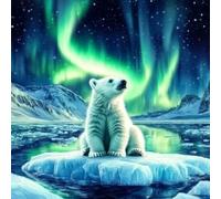 Diamond Art Kits for Adults, DIY Aurora Diamond Painting 12x12 inch y0-z286