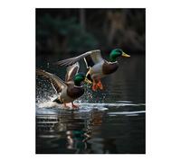 Diamond Art Kits for Adults - Ducks Taking Water Splashing Flight Diamond Painting Kits for Adults Beginner, 12x16 in Frameless Diamond Painting Kit for Home Wall Decor