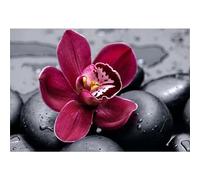 Diamond Art Kits for Adults,Red Stone 5D Square Diamond Painting Kits,DIY Full Drill Crystal Rhinestone Canvas Embroidery Picture for Home Decor Gift(55x75cm)