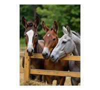 Diamond Art Kits for Adults - Three Horses Behind Wooden Fence Diamond Painting Kits for Adults Beginner, 12x16 in Frameless Diamond Painting Kit for Home Wall Decor