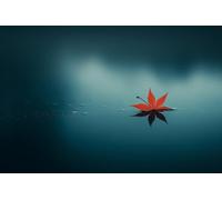 Diamond Art Lake Diamond Painting Kits for Adults, 5D Maple Leaf Crystal Art Crafts for Adults Gem Paintings, DIY Full Drill Cross Stitch Pictures Embroidery Kit for Home Wall Decor 30x45cm X-209