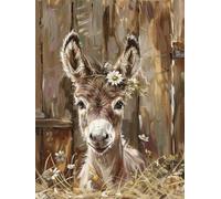 Diamond Art Painting Kits Adults Donkey 5D Crystal Art Full Accessories DIY Gem Sequin Canvas Dimond Painting Kits Animal Mosaic Embroidery Crafts for Adults for Halloween Decorations 20x26inch S-352