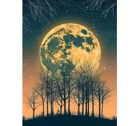 Diamond Art Painting Kits Adults Moon 5D Crystal Art Full Accessories DIY Gem Sequin Canvas Dimond Painting Kits Tree Mosaic Cross Stitch Crafts for Adults for Home Wall Decor Gift 12x16inch S-592
