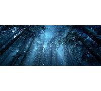 Diamond Art Painting Kits for Adults 120x60cm, 5D Large Diamond Painting Forest Full Round Drill Gem Art Winter Crystal Cross Stitch Arts Crafts Paint by Numbers for Home Wall Decor Gifts -LR151