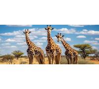 Diamond Art Painting Kits for Adults 180x70cm, 5D Large Diamond Painting Animals Full Round Drill Gem Art Giraffe Crystal Cross Stitch Arts Crafts Paint by Numbers for Home Wall Decor Gifts -LR829