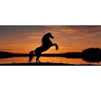 Diamond Art Painting Kits for Adults 300x100cm, 5D Large Diamond Painting Horses Full Round Drill Gem Art Twilight Landscape Crystal Cross Stitch Paint by Numbers for Home Wall Decor Gifts -LR333