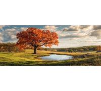 Diamond Art Painting Kits for Adults 80x40cm, 5D Large Diamond Painting Landscape Full Round Drill Gem Art Autumn River Tree Crystal Cross Stitch Paint by Numbers for Home Wall Decor Gifts -LR665